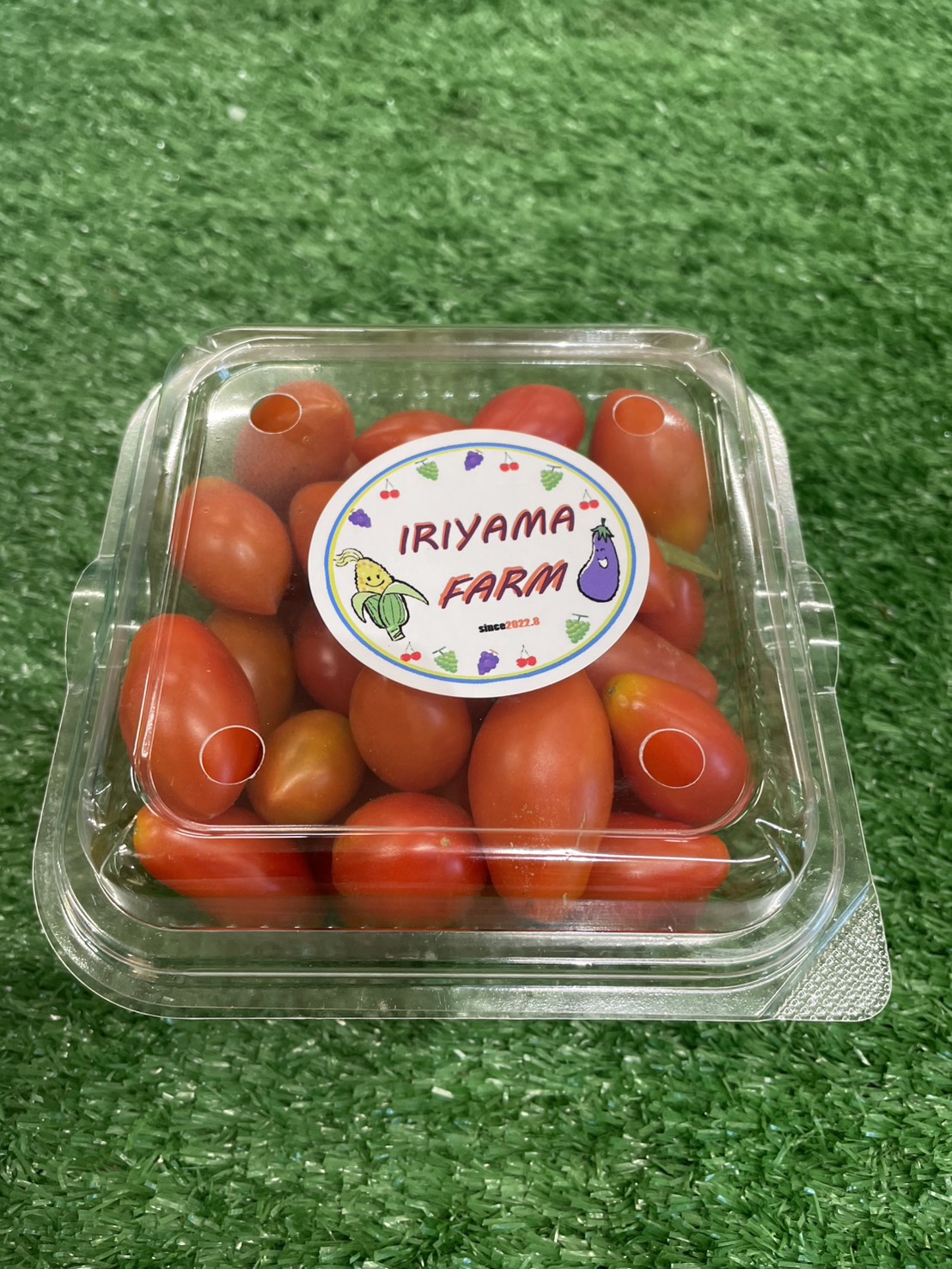 入山ファーム_トマト