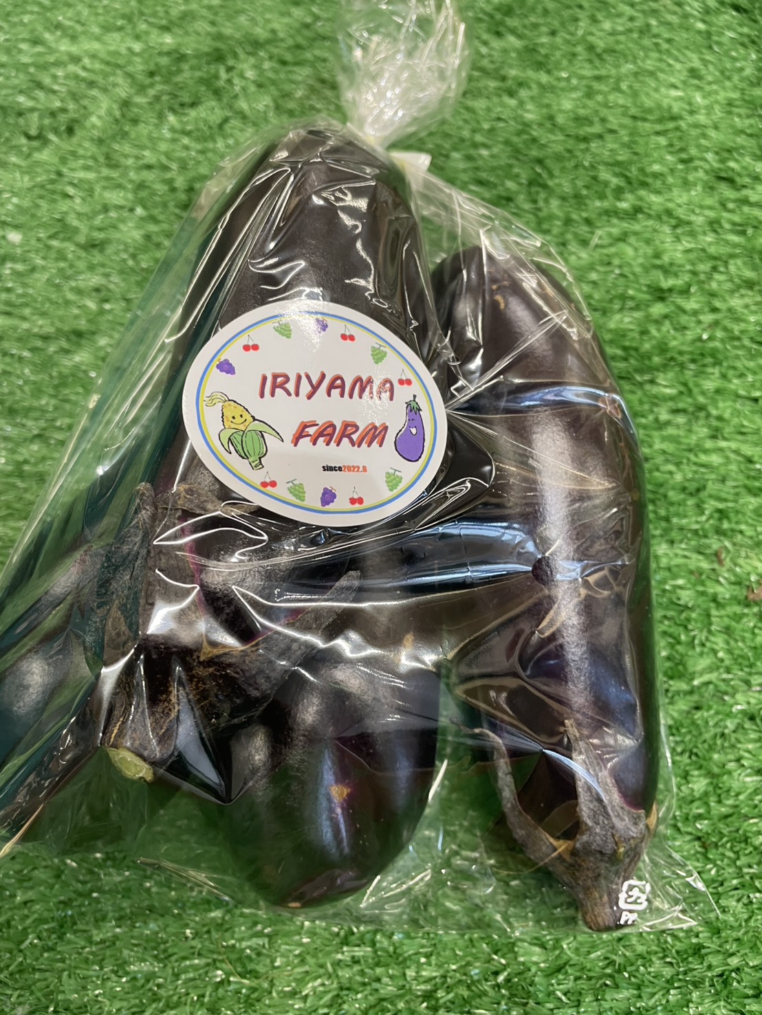 入山ファーム_なす