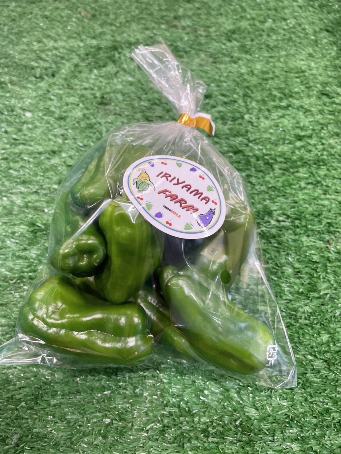 入山ファーム_ピーマン